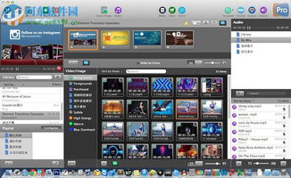 电脑分屏软件哪个好用 高效多任务处理的必备工具推荐